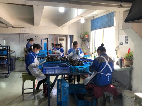 修蠟，檢驗